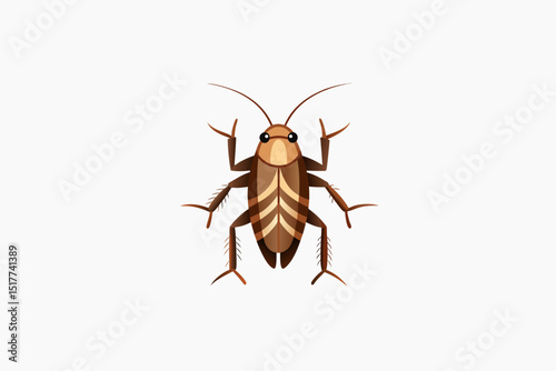 cockroach on white