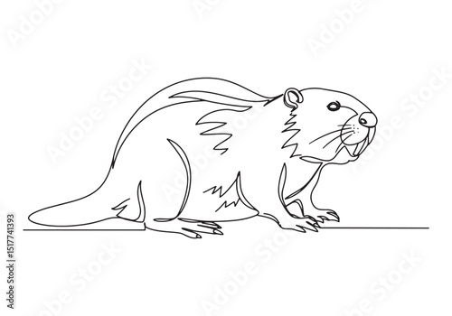 Elegant continuous line drawing of a beaver, showcasing minimali