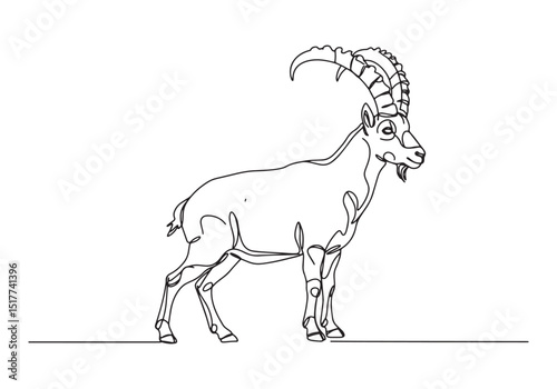 Elegant continuous line drawing of a Pyrenean Ibex with detailed
