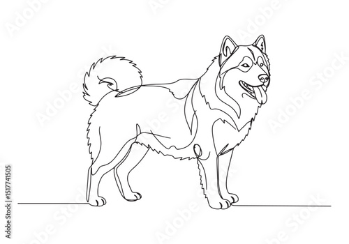 Elegant Alaskan Malamute, Continuous Line Drawing Highlighting B