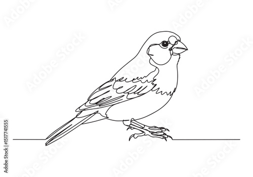 Elegant canary bird illustration in continuous line art style dr