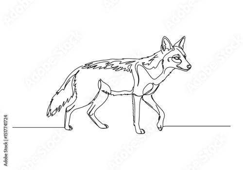 Elegant continuous line drawing of a jackal, minimalist vector i