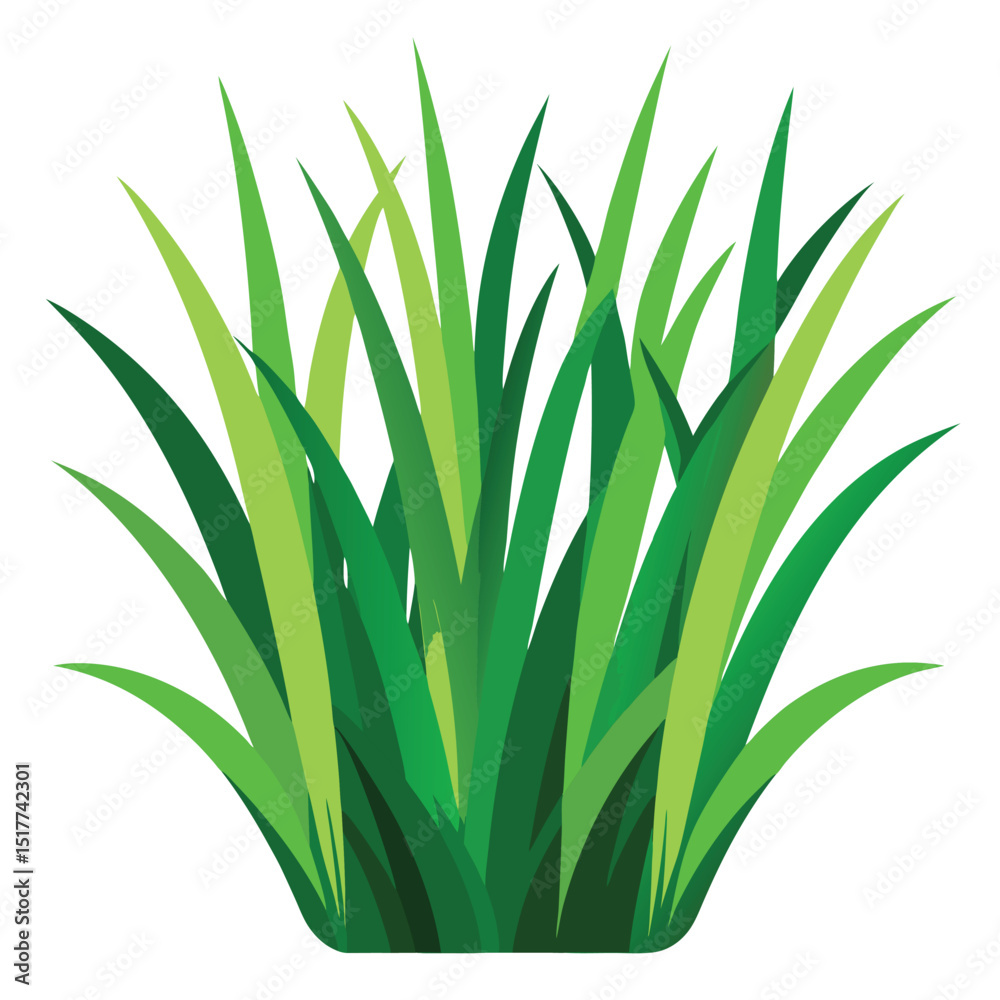 Obraz premium Lush Green Grass Blades Nature Spring Summer Meadow Plant Foliage Texture Background Design