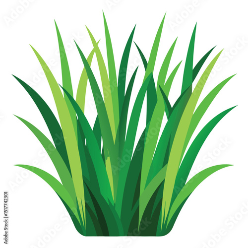 Lush Green Grass Blades Nature Spring Summer Meadow Plant Foliage Texture Background Design