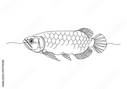 Elegant arowana continuous line drawing illustration, capturing