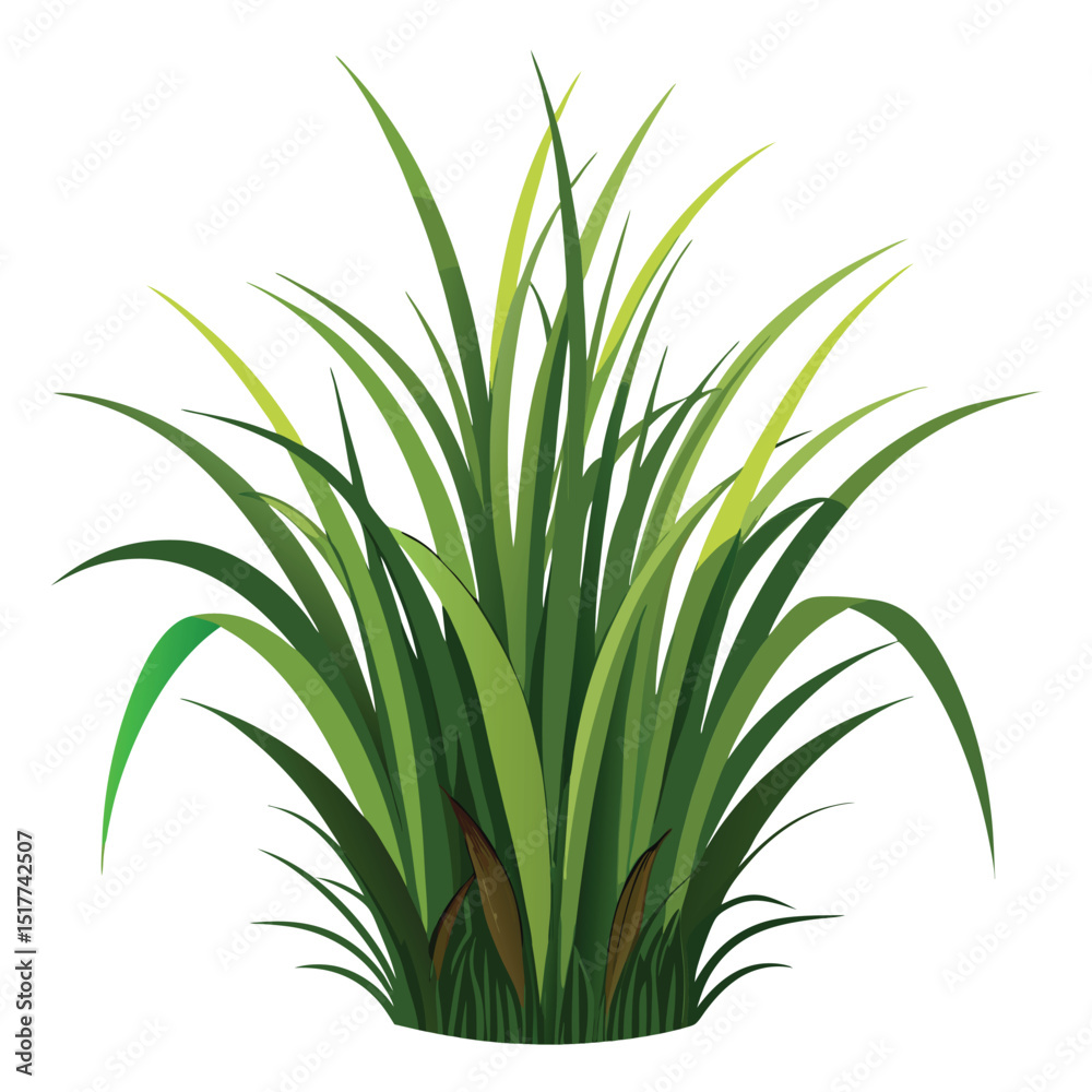 Fototapeta premium Lush Green Grass Tuft Nature Scene Realistic Botanical Illustration Perfect for Spring Summer