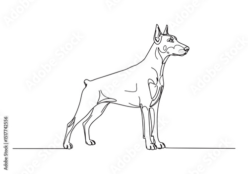 Elegant doberman pinscher portrait illustration in continuous li