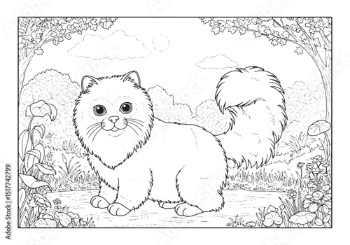 Birman Cat Coloring Page, An Adorable Black and White Illustrati