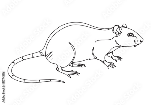 Elegant portrayal of a Malagasy giant jumping rat in simple onel