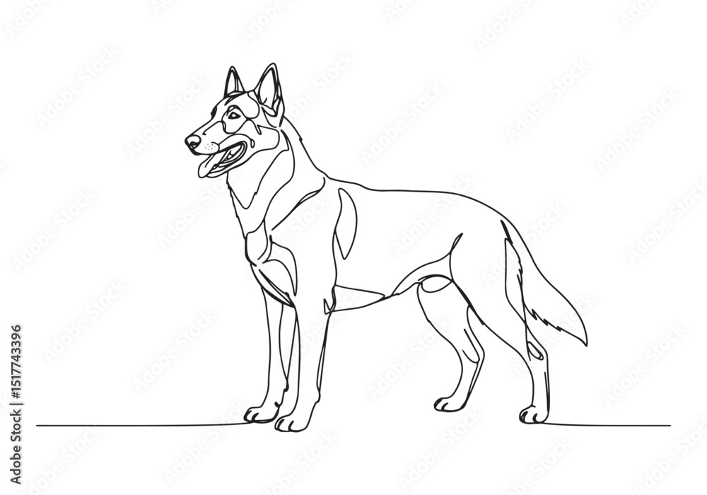 Fototapeta premium Elegant belgian malinois portrait created with a single continuo