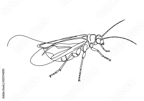 Elegant caddisfly portrayed in a seamless single line drawing st