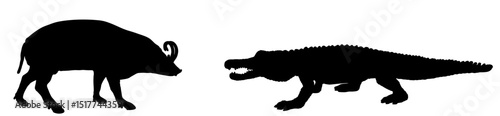 Ambush crocodile hunt attack babirusa vector silhouette isolated. Survivor watering place battle reptile against deer pig animal. Predator carnivore alligator lurking prey. Caiman hunting Babyrussa.