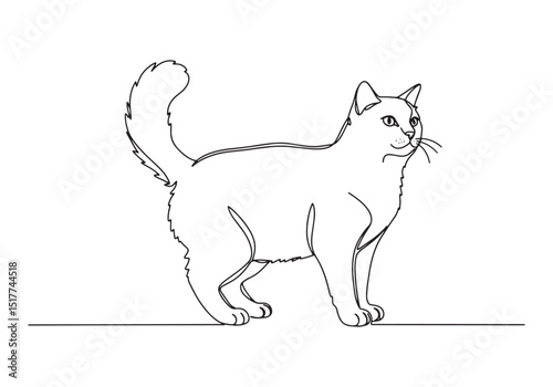 Elegant japanese bobtail cat illustration in continuous line dra