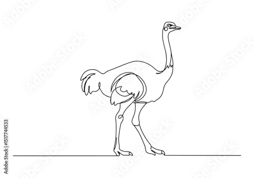 Elegant continuous line drawing of a majestic ostrich in motion