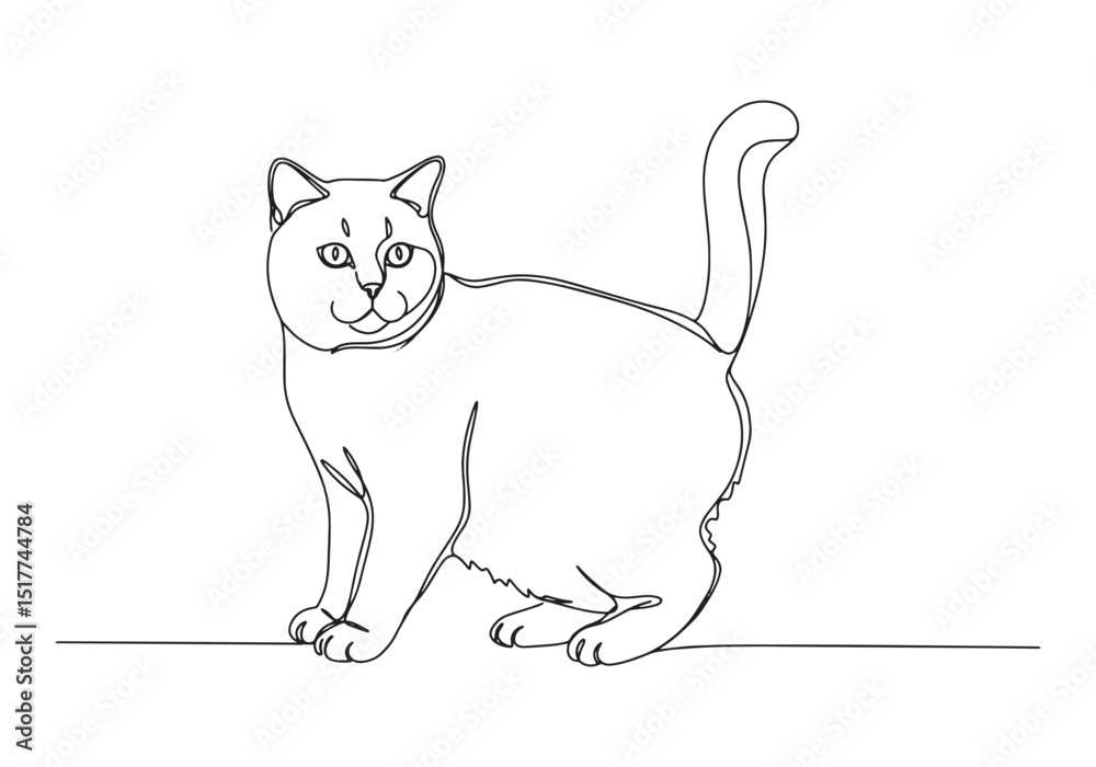 Obraz premium Elegant British Shorthair Portrait, A Minimalist Continuous Line
