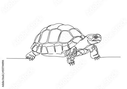 Elegant Leopard Tortoise, A Captivating Continuous Line Illustra