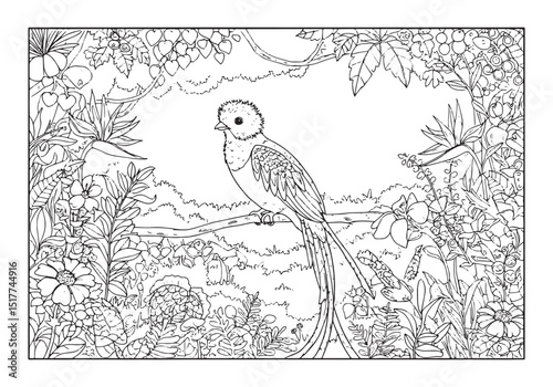 Detailed coloring page of a quetzal bird in a lush tropical envi