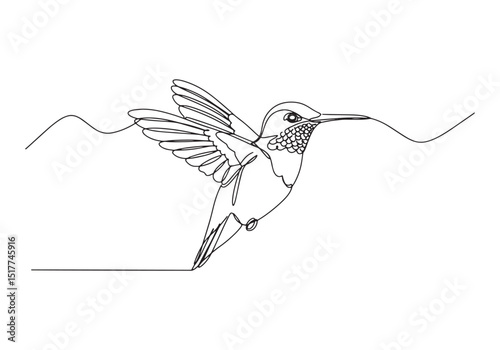 Elegant Hummingbird in Continuous Line Art Illustration with Del
