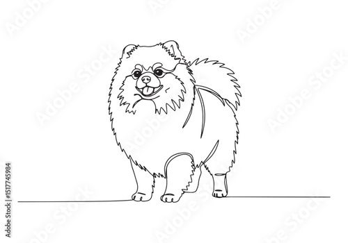 Elegant pomeranian portrait in continuous line art drawing style