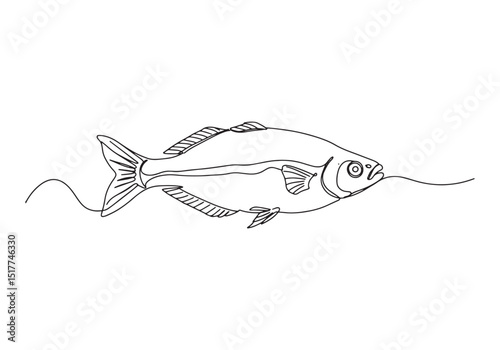 Elegant rainbowfish depicted in a minimalist continuous line dra photo