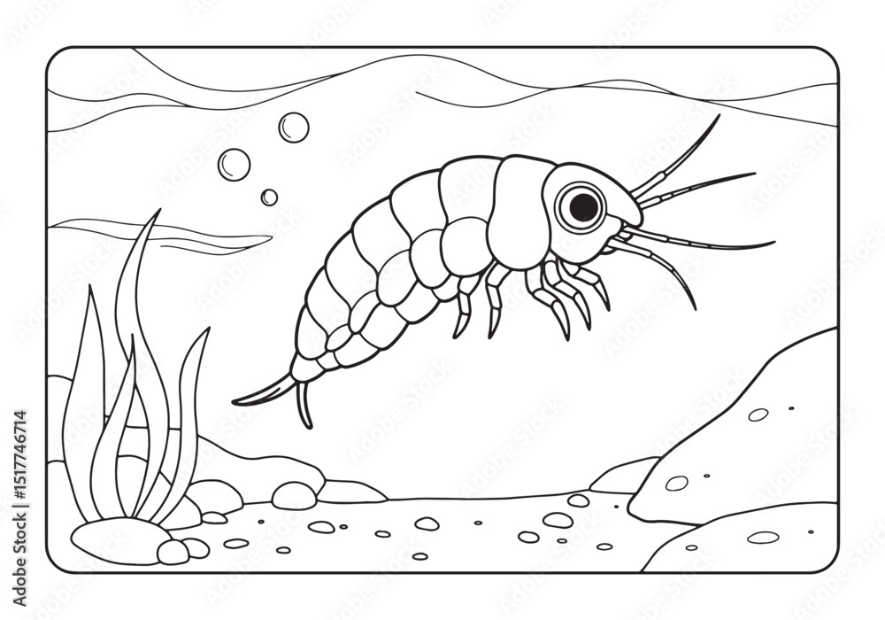 Obraz premium Copepod Marine Life Illustration for Coloring Book Activity Fun