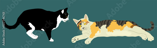 Cats in love vector illustration isolated. Lovely pet. Home animal. Guard on farm. Cats mating. Domestic animals couple, male and female family.