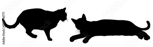 Shadow cats in love vector silhouette illustration isolated. Lovely pet. Home animal. Guard on farm. Shape cats mating. Domestic animals couple, male and female family.