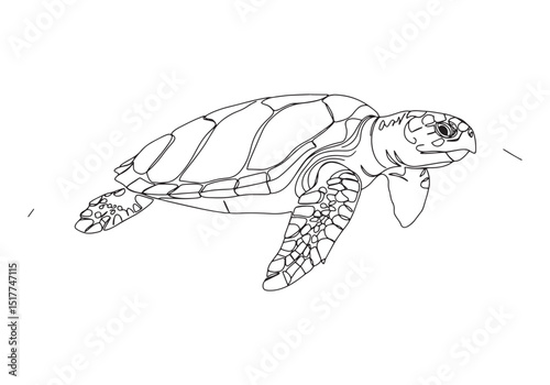 Elegant minimalist line art depiction of a hawksbill sea turtle