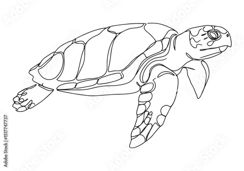Elegant continuous line drawing of a sea turtle in monochrome il