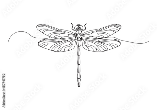 Elegant depiction of a dragonfly in a continuous line drawing st