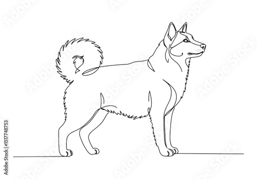 Elegant kurilian bobtail in a single line drawing, minimalist an
