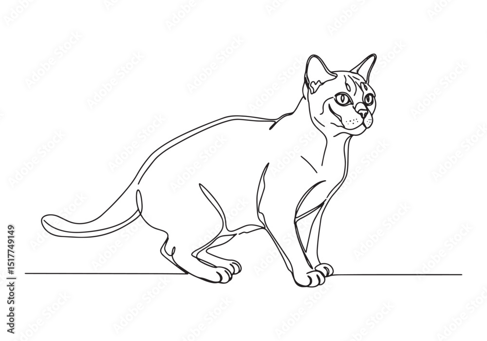 Obraz premium Elegant Burmese Cat Portrait in Continuous Line Art Black and Wh
