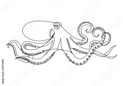 Elegant continuous line drawing of an octopus, A minimalist mono