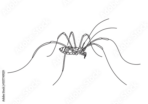 Elegant Harvestman Daddy Long Legs in a Continuous Line Drawing