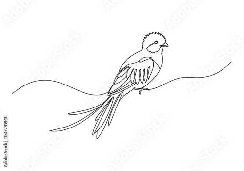 Elegant Quetzal Illustration in a Single Continuous Line Drawing