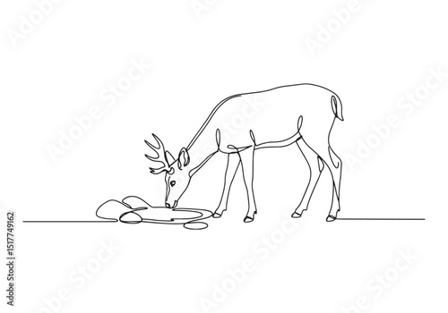 Elegant continuous line drawing of a deer drinking water illustr