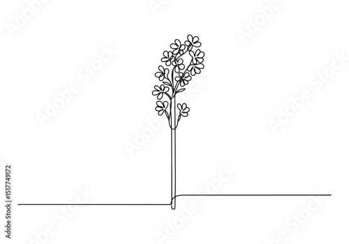 Elegant floral illustration featuring delicate blossoms in conti