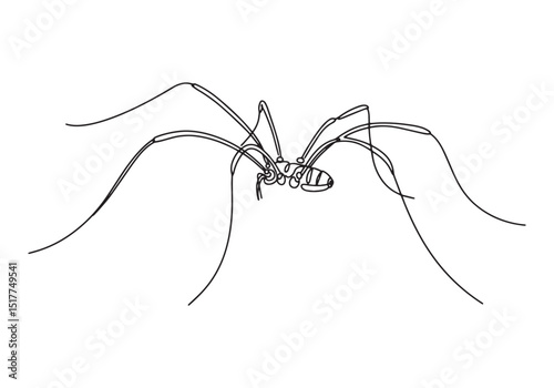 Elegant continuous line drawing of a harvestman, black and white