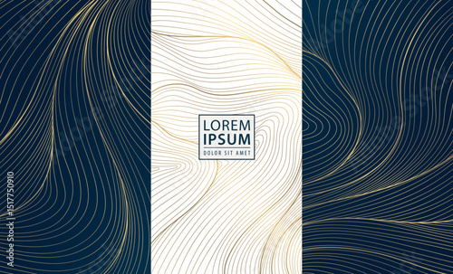 Vector set of golden line wave backgrounds, abstract luxury label package, water premium japanese element. Glitter box design, art deco template.