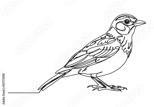 Elegant continuous line drawing of a lark bird in minimalist sty