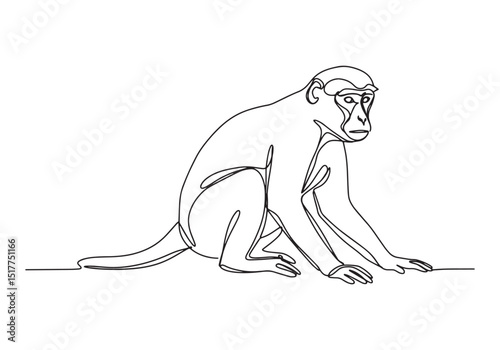Elegant galada monkey illustration in continuous line drawing st