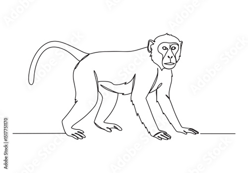 Macaque Monkey Continuous Line Art, A Modern Black and White Ill