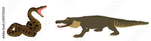 Ambush anaconda snake attack crocodile vector illustration isolated. Survivor battle powerful reptile boa against caiman animal on watering place. Predator carnivore serpent lurking prey alligator.