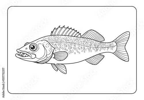 Detailed Walleye Fish Illustration in Black and White Coloring B
