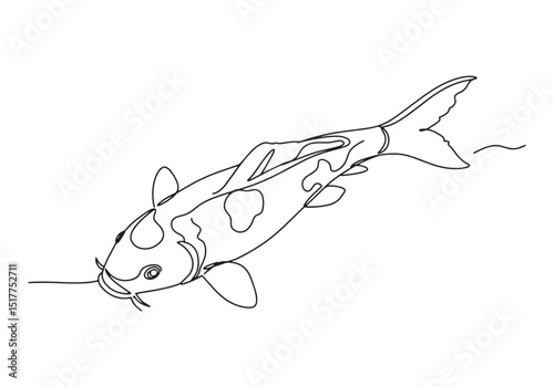 Elegant koi fish continuous line drawing, minimalist monochrome