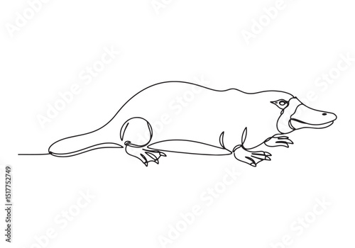 Unique platypus illustration in a continuous line drawing style