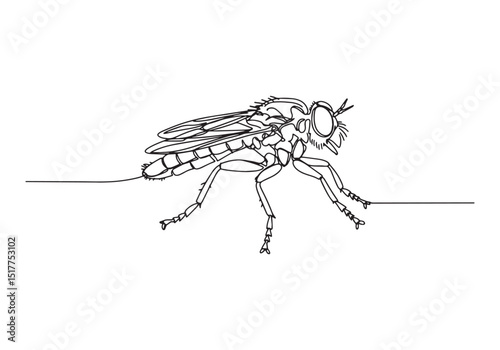 Elegant robber fly illustration in single continuous line drawin