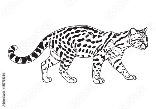 Elegant margay depicted in a continuous line drawing style illus