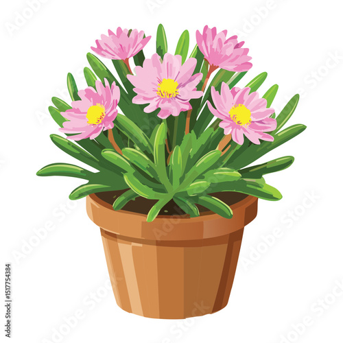 Pink Flowering Plant in Terracotta Pot