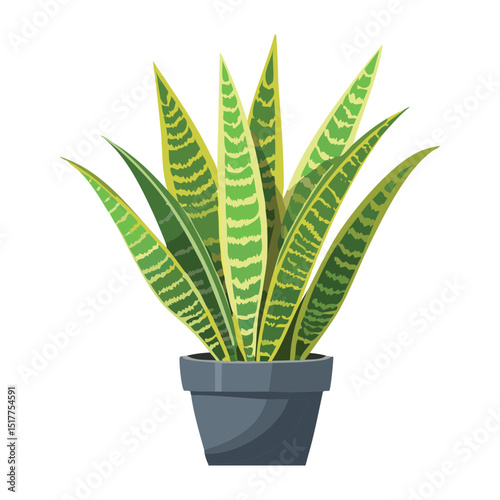 Minimalist Snake Plant in Pot